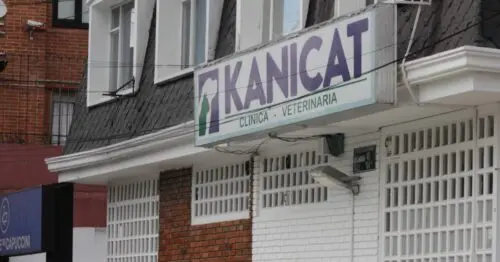 CLINICA VETERINARIA KANICAT SAN PATRICIO CLINICA VETERINARIA KANICAT SAN PATRICIO